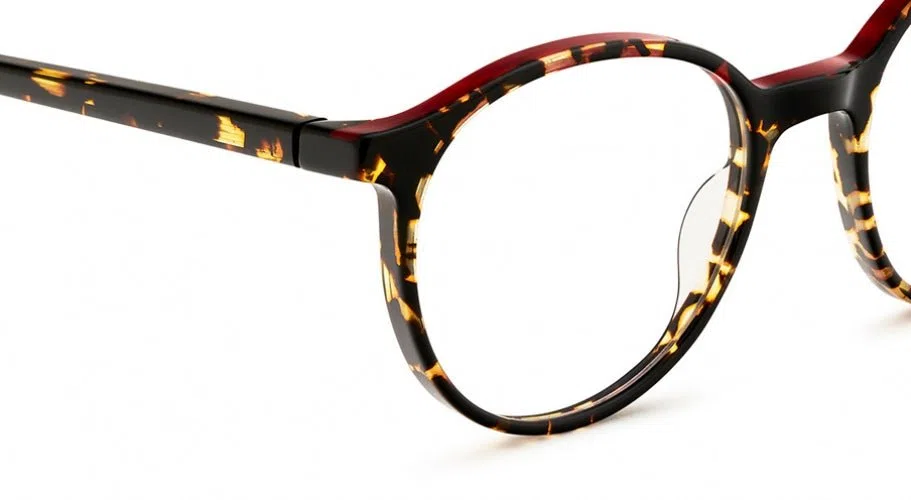 Etnia Barcelona NARA 22 .P Eyeglasses - view 11
